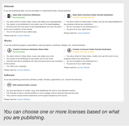 a screenshot of license options to choose when publishing
